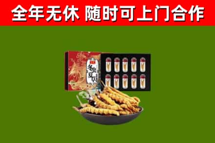 闽清县回收冬虫夏草价格